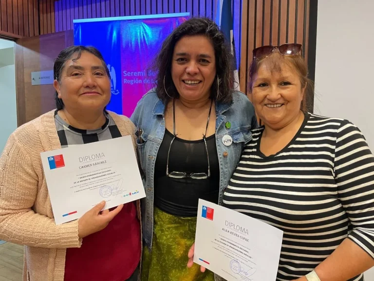 Seremi de Gobierno de La Araucanía presentó Malla Programática 2023-2026 a dirigentes sociales de la región