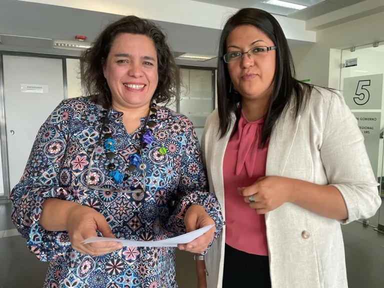 Más de 5 mil viviendas de La Araucanía serán encuestadas en CASEN 2022