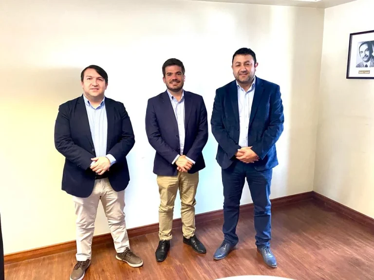 CGE se reúne con Delegado Presidencial de La Araucanía para informar Plan Integral de Gestión de Redes para la temporada de verano 2022-2023