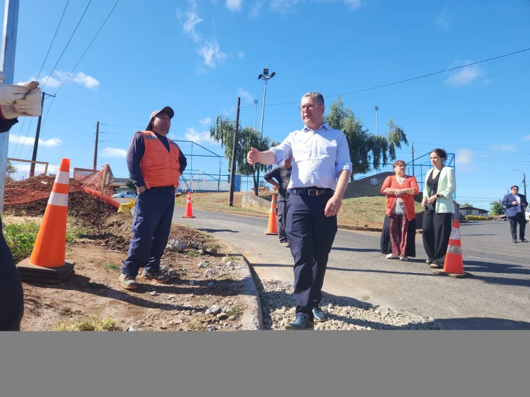 Temuco: Más de 130 reductores de velocidad se instalaron en el 2022