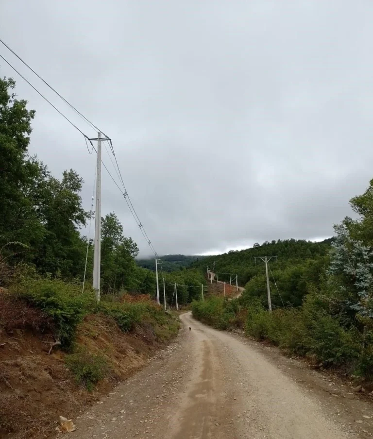 Frontel construye nueva línea eléctrica en sector rural de Angol