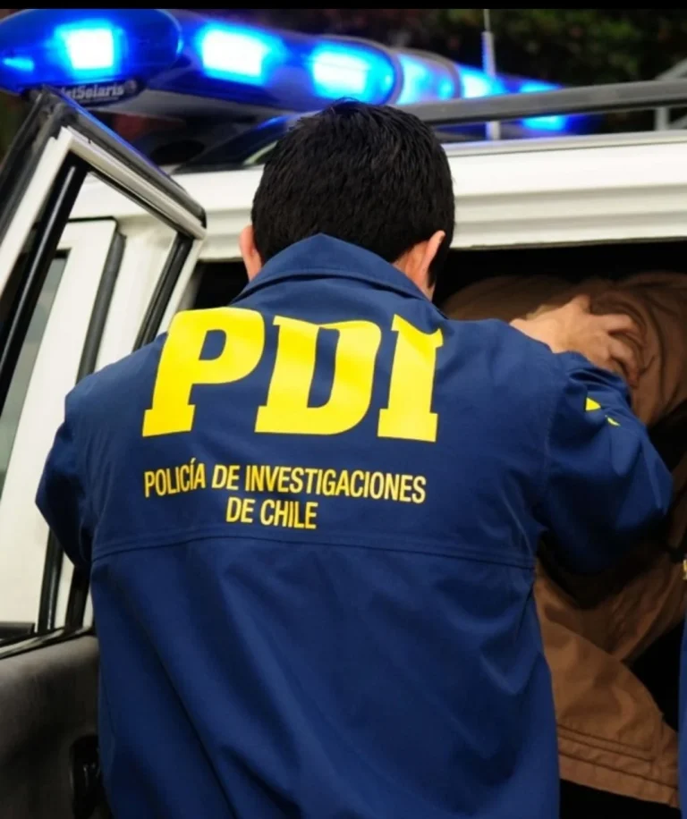 Por tala ilegal de bosque nativo: PDI detuvo a hombre que debía multa de más de $30 millones (Foto Archivo)