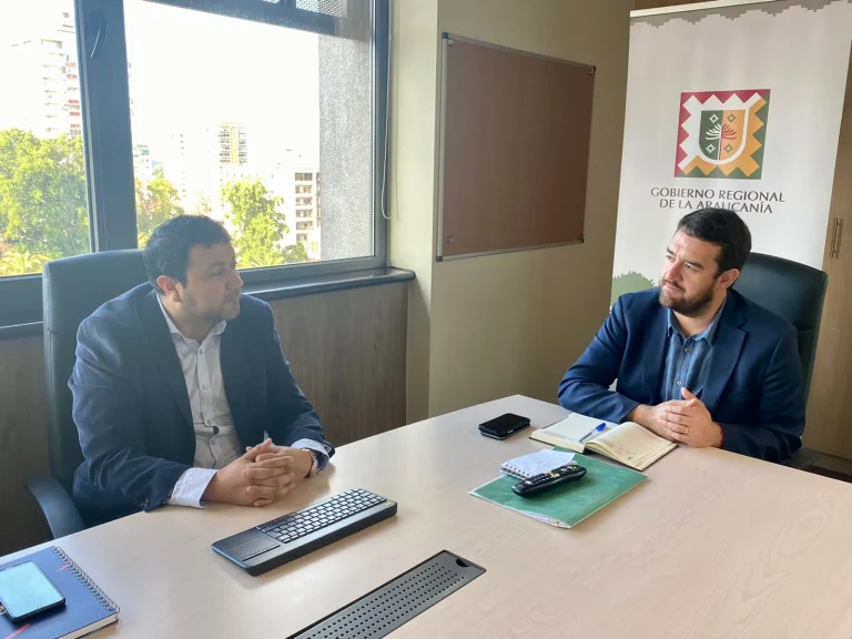 CGE se reúne con Gobernador de la Araucanía para informar sobre el Plan Integral de Gestión de Redes para la temporada de verano 2022-2023