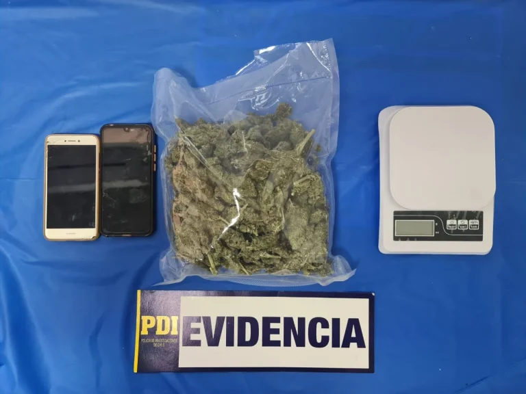 PDI saca de circulación 760 dosis de marihuana en zona lacustre de La Araucanía