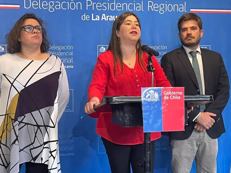 Las ocupaciones asociadas a procesos de automatización y digitalización irían al alza en La Araucanía.