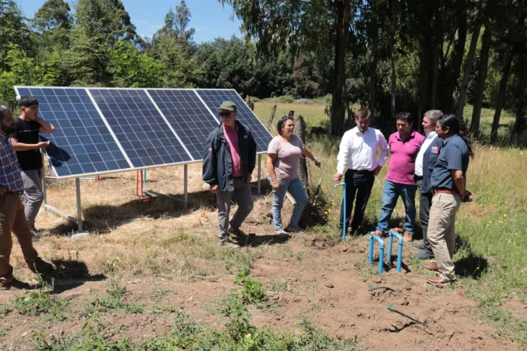 Treinta y Cuatro familias de agricultores de Padre Las Casas potenciarán su producción con proyectos de Indap