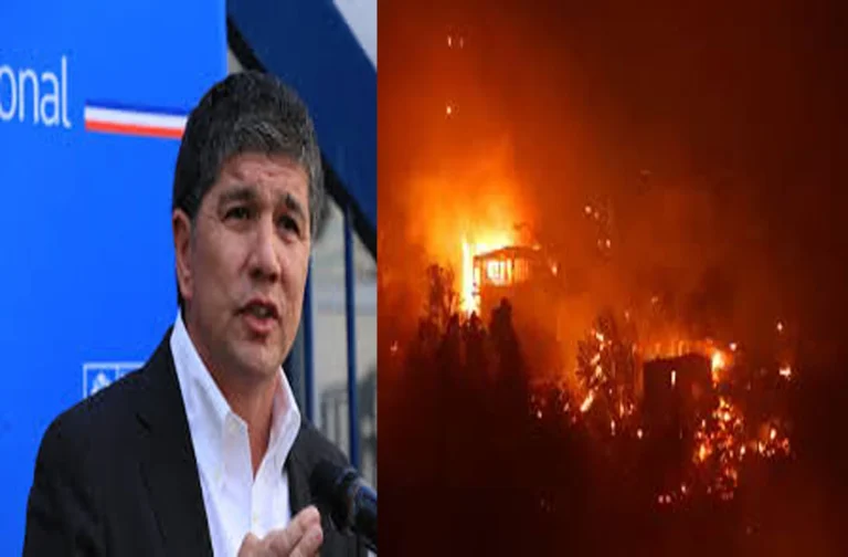 Gobierno reporta 283 incendios activos en Chile y asegura que «perseguirá severamente» a responsables