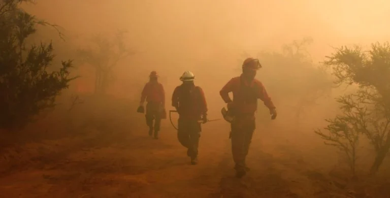Gobierno confirma 22 muertos y 554 heridos por incendios forestales en Ñuble, Bío Bío y La Araucanía