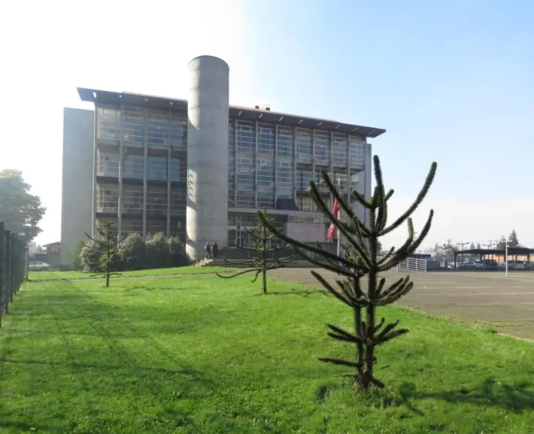TOP de Temuco condena a autor de conducción en estado de ebriedad causando muerte y lesiones