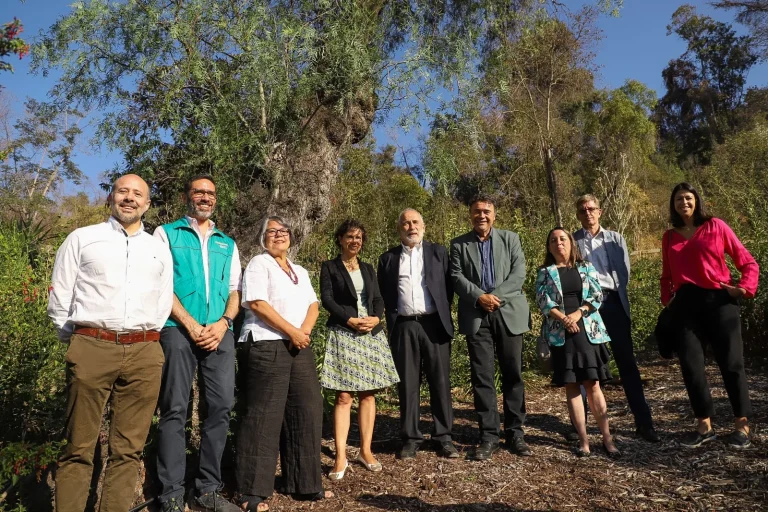 Un millón de hectáreas en procesos de restauración: la ambiciosa meta con que Chile recuperará sus paisajes y ecosistemas para 2030