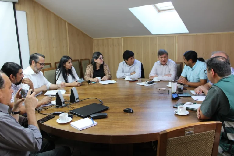 Servicios del Agro y Conadi entregarán ayuda de emergencia a familias campesinas damnificadas por los incendios