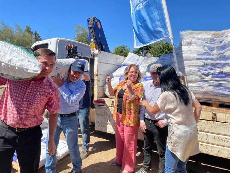 Subsecretario de Agricultura entrega alimento para animales en la comuna de Angol
