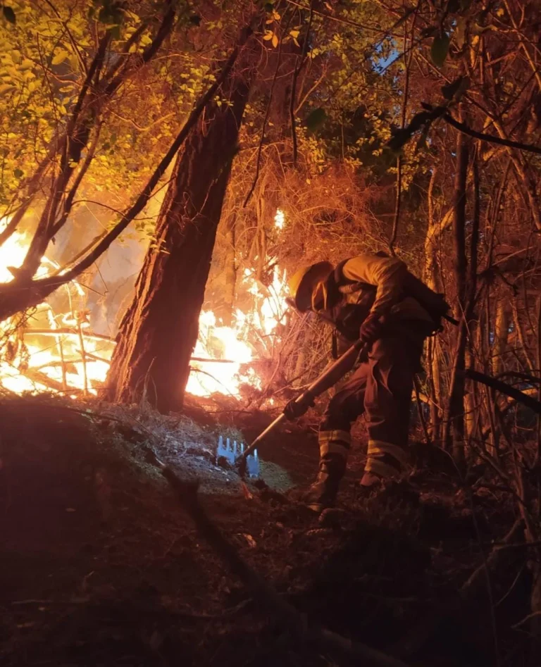 Sofo pide intervención «inmediata» de las FF.AA para frenar incendios intencionales en la Araucanía