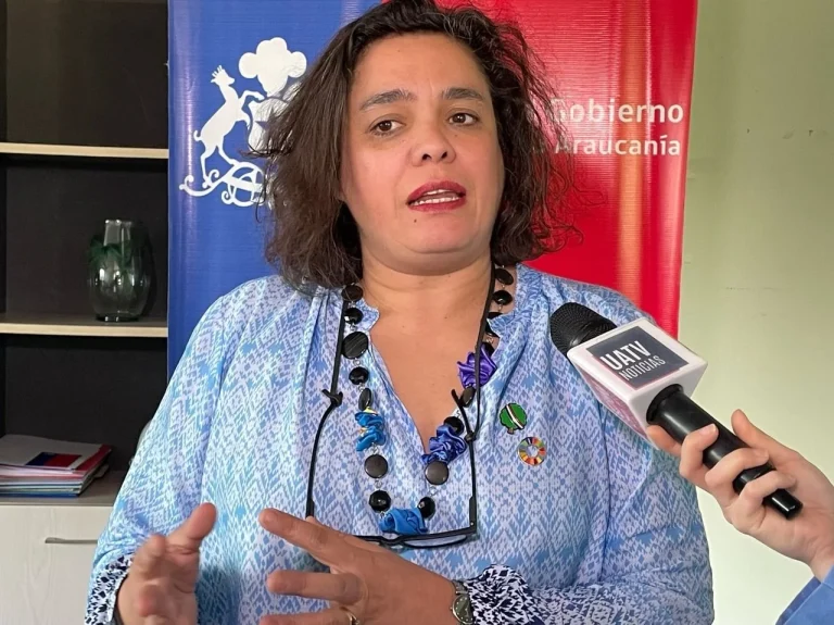 Seremi de Gobierno destacó anuncios del Plan de Recuperación y Ayudas Tempranas para quienes han sido afectados por  los incendios forestales