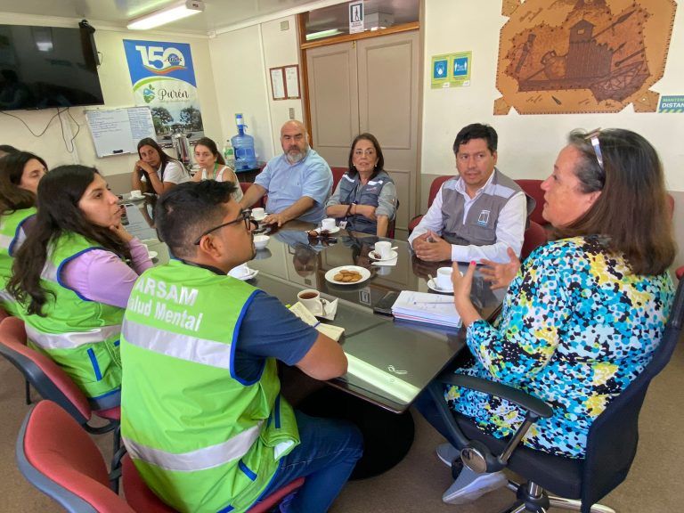 Equipos de Apoyo de Salud Mental arribaron a la región de la Araucanía