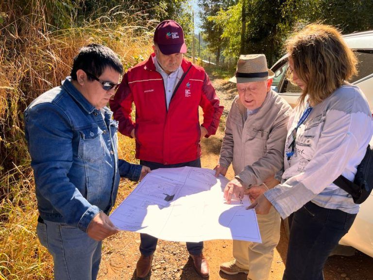 Padre Las Casas contará con un nuevo pulmón verde