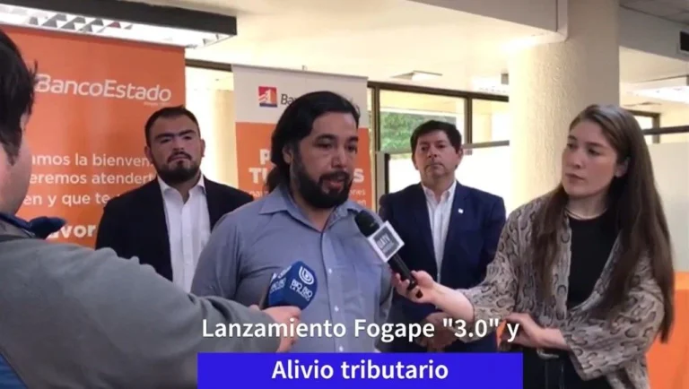Agenda de productividad para nuestro sur Por Vicente Painel Seguel, Seremi Economía Araucanía