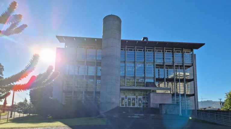 Prisión preventiva para 27 imputados por asociación criminal, tráfico de drogas y lavado de activos en Temuco