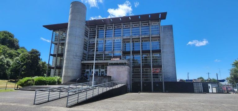 Corte de Temuco decreta la prisión preventiva de imputada por tenencia de arma de fuego, tráfico y cultivo de drogas