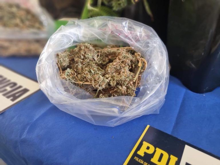Con 7 mil 600 dosis de marihuana: PDI detiene a dos integrantes de banda que trasladaba droga desde el norte del país a La Araucanía