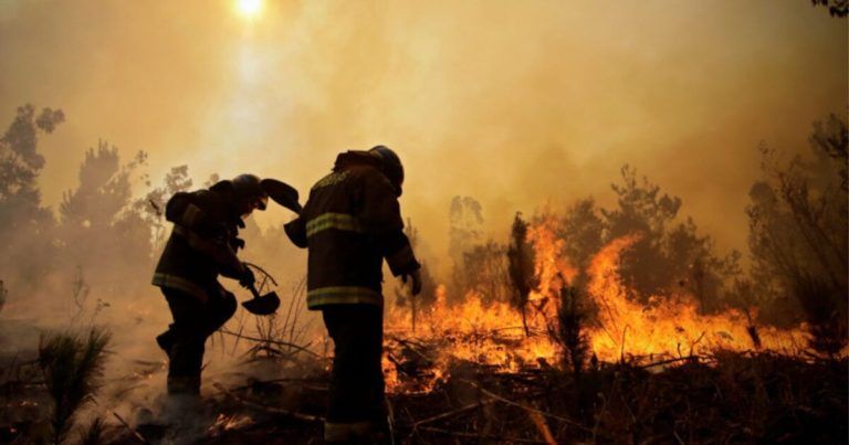 Multigremial de la Araucanía afirma que la intencionalidad de los Incendios Rurales ocurridos en el centro sur del país son parte de la escalada de violencia que afecta a la zona