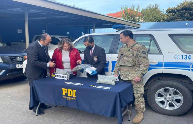 PDI Angol incauta plantas de marihuana y droga a granel desde comunidad en Ercilla