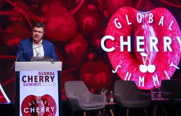Ministro Valenzuela destaca buen momento del sector de las cerezas y valora récord de exportaciones con 83 millones de cajas 