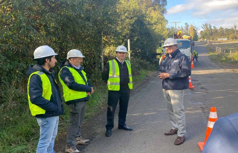 CGE refuerza trabajos de poda en sector Trañi – Trañi de Temuco para mejorar calidad de servicio