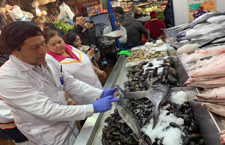 Autoridad Sanitaria ha realizado más de 270 fiscalizaciones a la venta y transporte de pescados y mariscos en los días previos a semana santa