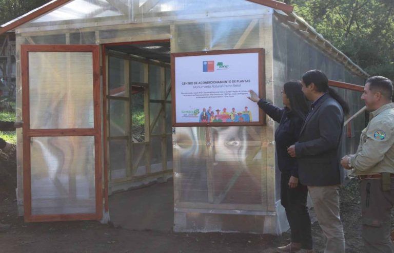 CONAF Inaugura Primer Módulo Demostrativo de Producción de Nativo