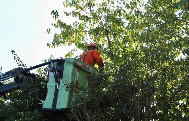 CGE activa plan de acción preventivo ante lluvias que afectarán a la región de La Araucanía