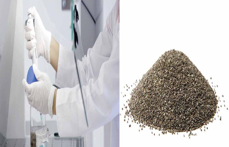 Estudios demuestran que el consumo de chía contribuye a la reducción del colesterol y el hígado graso