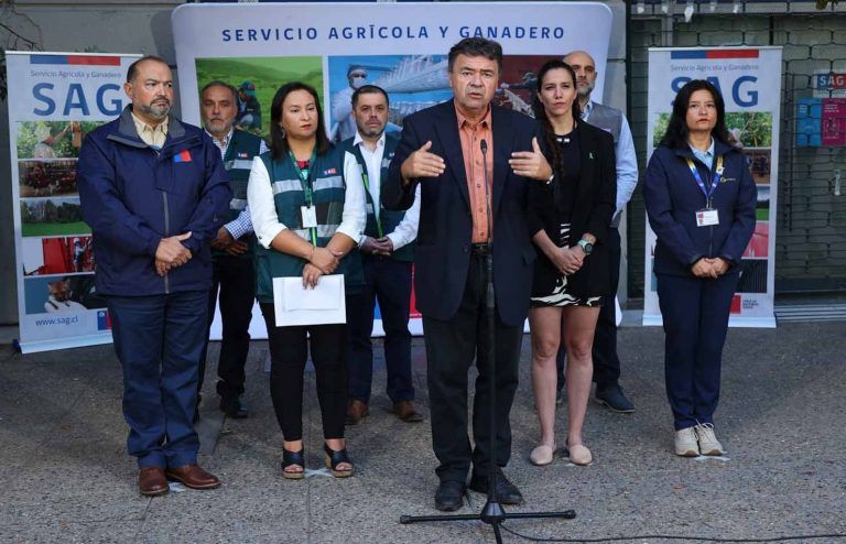 Gobierno llama a normal consumo de pescados y mariscos en Semana Santa y entrega recomendaciones para quienes visiten zonas costeras 