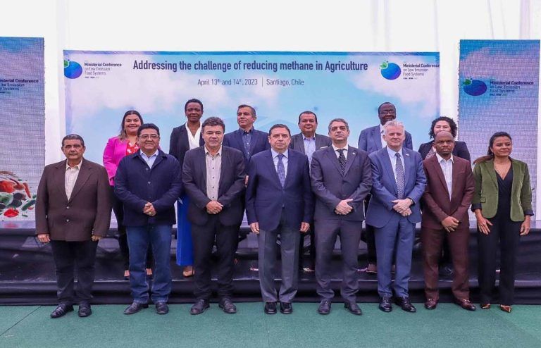 Más de diez países, entre ellos Chile, se comprometen a promover sistemas alimentarios bajos en emisiones 