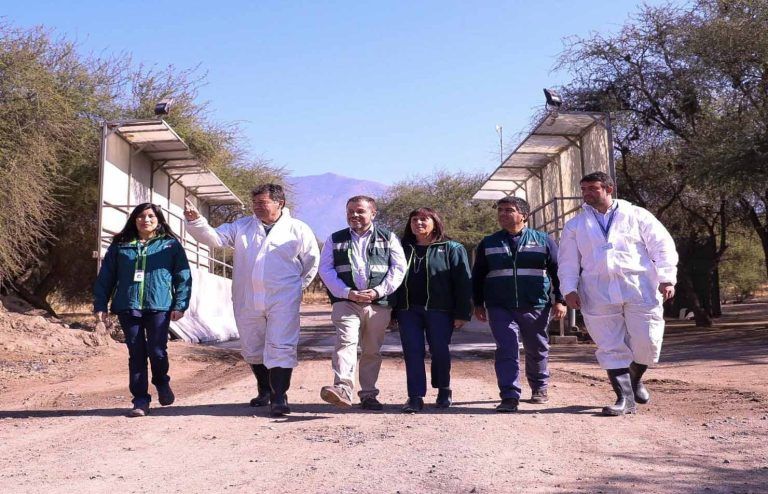 Ministro Valenzuela y apertura de exportaciones post influenza aviar: “Hemos recuperado tres mercados de la industria de las aves” 