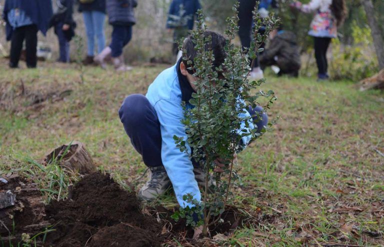 Segundo Concurso de la Estrategia Nacional de Cambio Climático y Recursos Vegetacionales de CONAF