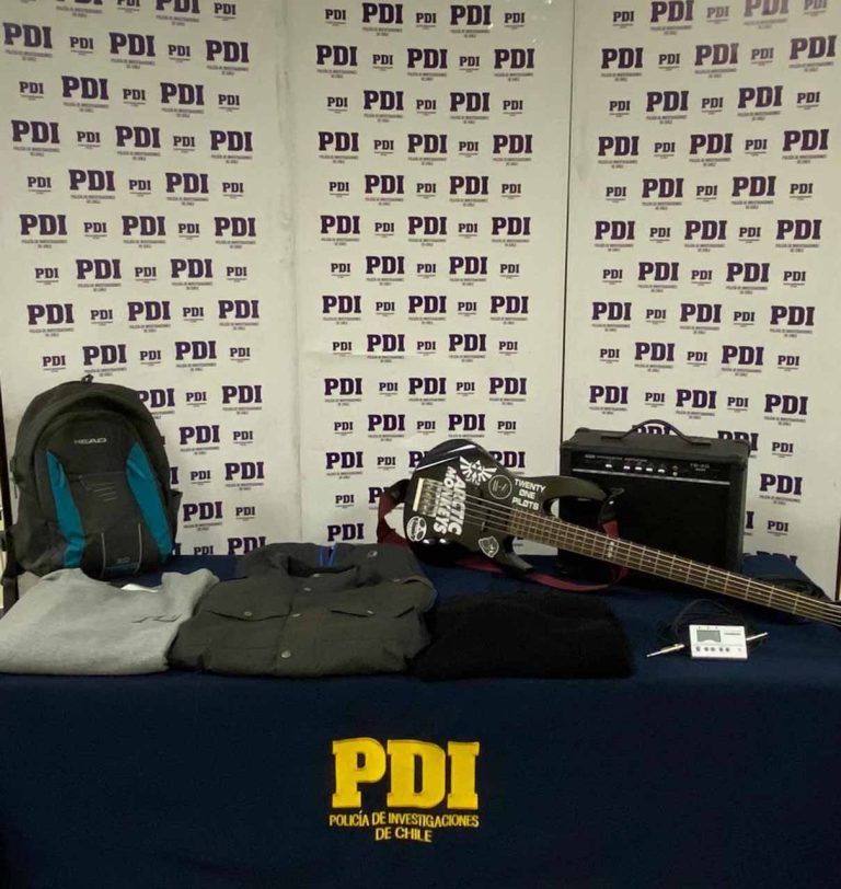 PDI Temuco recupera diversas especies sustraídas: estaban siendo comercializadas por redes sociales