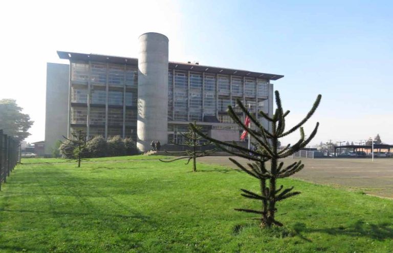 Juzgado de Garantía de Temuco decreta la prisión preventiva de imputado por femicidio frustrado