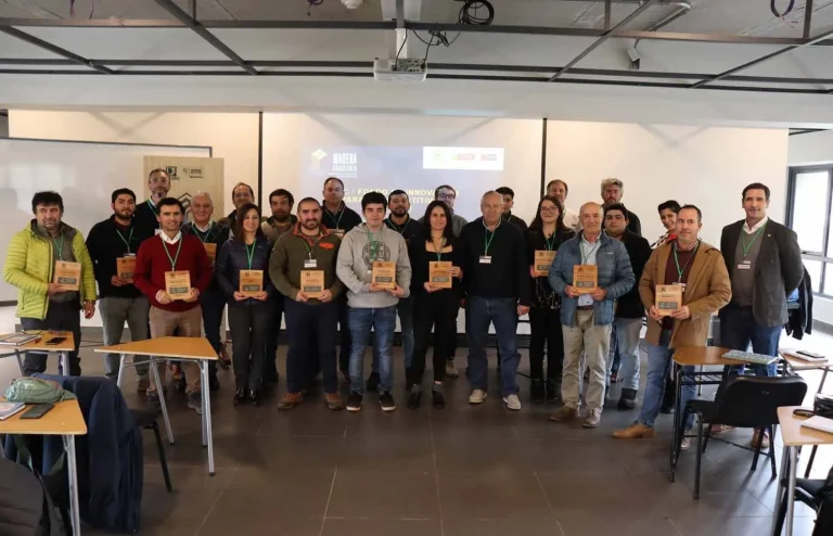 Gobierno Regional da el vamos a programa de difusión tecnológica madera Araucanía