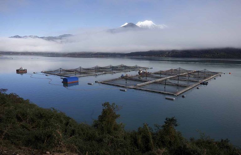 Multigremial Araucanía manifiesta su preocupación por implicancias del proyecto de Servicio de Biodiversidad y Áreas Protegidas en la Salmonicultura 