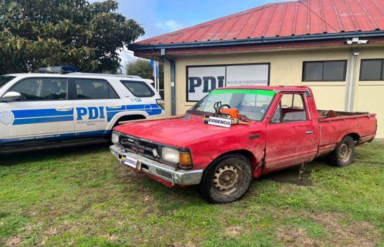 PDI Pitrufquén detuvo a dos personas por hurto de madera en predio forestal de Gorbea