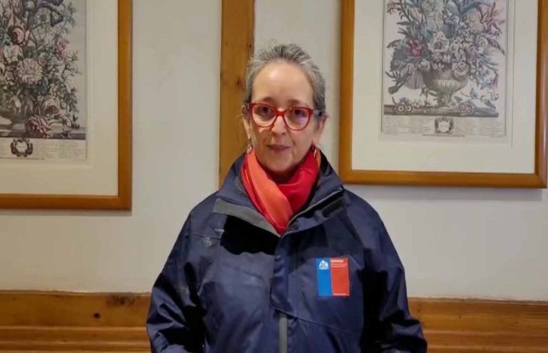 Senapred Araucanía Informa que se ajusta perímetro de seguridad del Volcán Villarrica de 1 km a 500 metros