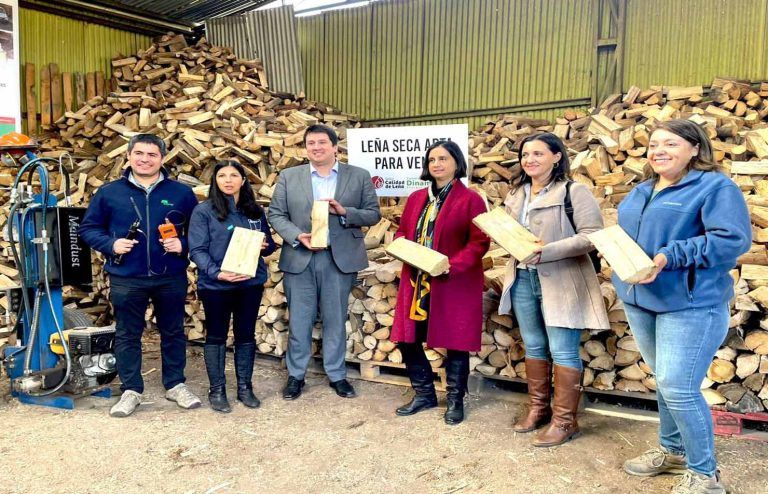 Liviana, de color opaco y corteza desprendida: algunas de las características que debes tomar en cuenta al comprar leña