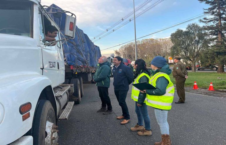 SAG intensifica controles carreteros para mantener sanidad del cultivo de la papa en La Araucanía