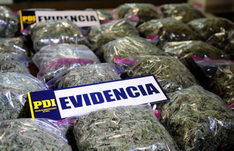 Aumentan incautaciones de drogas sintéticas y cannabis sativa en La Araucanía