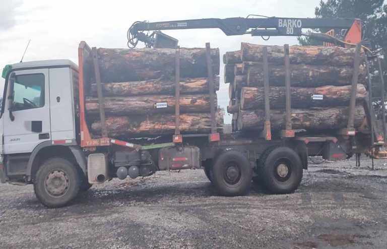 PDI Lautaro detuvo a hombre por sustracción de madera en predio rural de la comuna