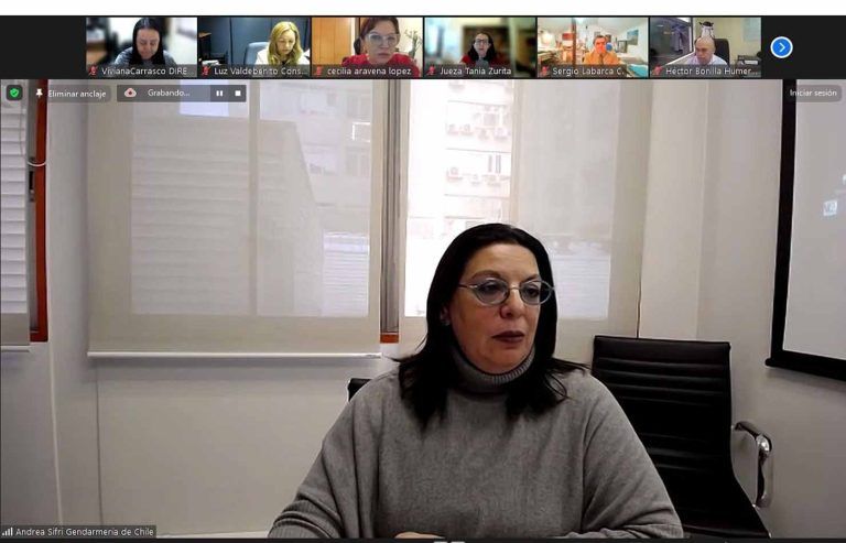 Comité de Género de Temuco aborda nudos críticos de la Ley de Monitoreo Telemático y coordina trabajo intersectorial de la ley en tribunales de La Araucanía