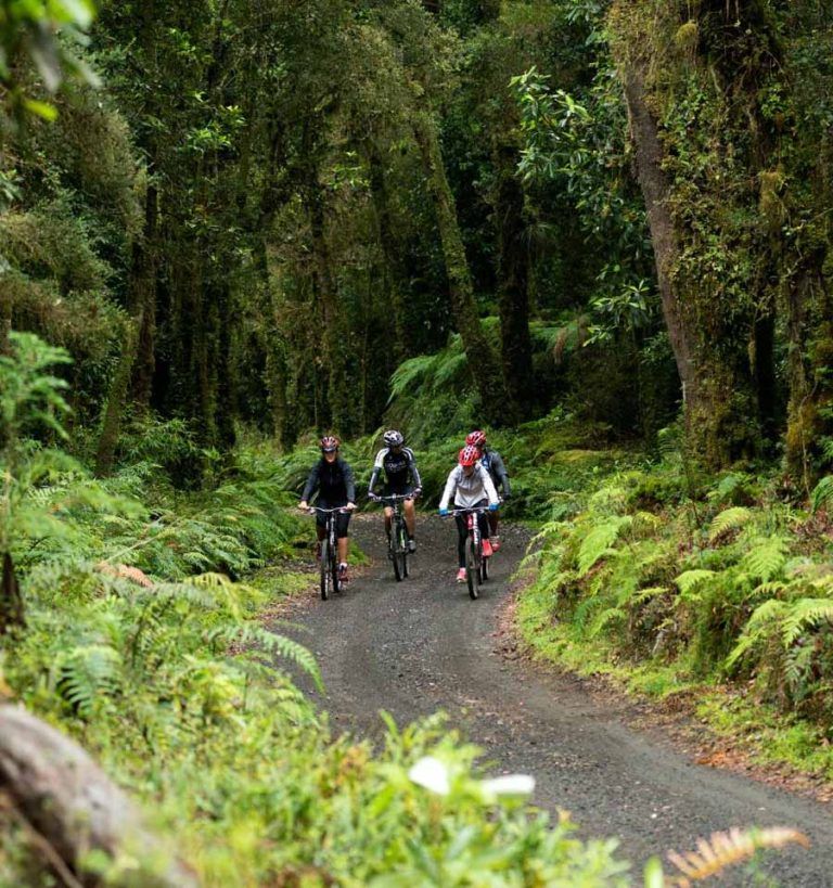 Deportes outdoor en invierno: Otra manera de disfrutar de la Ruta Escénicas Lagos y Volcanes
