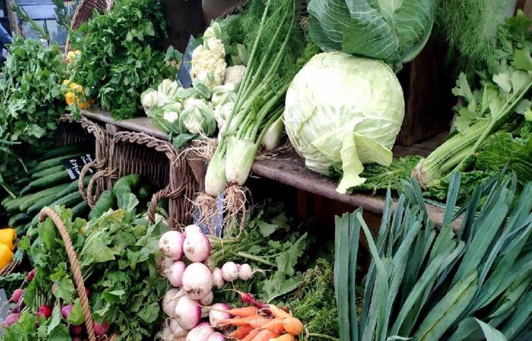 Especialistas entregan recomendaciones de alimentos para cuidar la salud intestinal