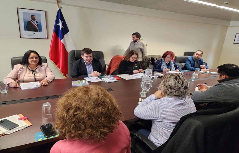 Instalan Mesa de articulación por la exclusión escolar de niños, niñas y adolescentes en La Araucanía
